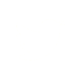 Social icon logo for Twitter